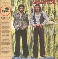 Warner Music Splinter - The Place I Love (Coloured Vinyl LP)