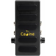 Caline CP-31P
