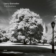 ECM Larry Grenadier, The Gleaners (180g)