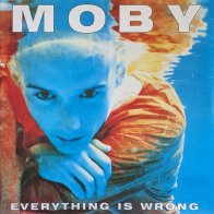 Little Idiot Moby – Everything Is Wrong (Transparent Light Blue Vinyl LP)