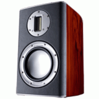 Monitor Audio Platinum PL 100 rosewood