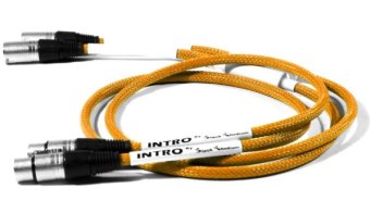 Black Rhodium INTRO XLR-XLR Orange 1.0 m