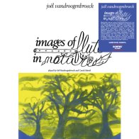 IAO Joel Vandroogenbroeck - Images Of Flute In Nature (Black Vinyl LP)