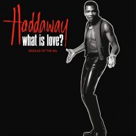 ZBS Records Haddaway What Is Love? The Singles of the 90s