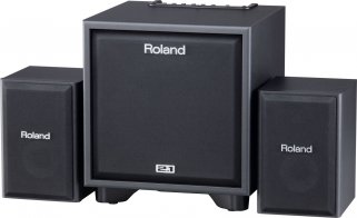 Roland CUBE-MONITOR-110
