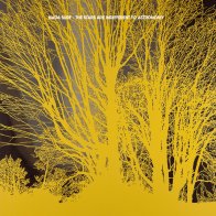 Beggars Banquet Nada Surf -  The Stars Are Indifferent To Astronomy (Black Vinyl LP)