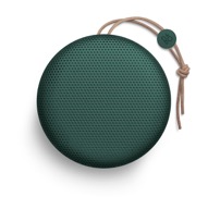 Bang & Olufsen Beoplay A1 Pine