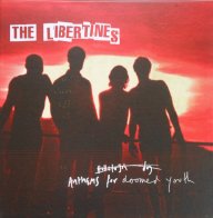 EMI (UK) The Libertines, Anthems For Doomed Youth (Boxset)