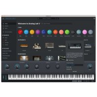 Arturia Analog Lab V (electronic license)