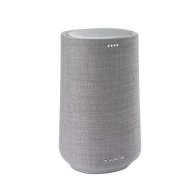 Harman Kardon Citation 100 grey