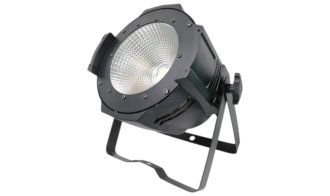 Bristage PAR100T