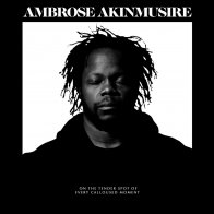 Blue Note (USA) Ambrose Akinmusire - on the tender spot of every calloused moment