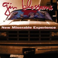 A&M The Gin Blossoms, New Miserable Experience