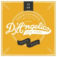 D'Angelico Acoustic 1254