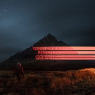 Sony Dominic Fike - What Could Possibly Go Wrong (Gatefold/Poster)