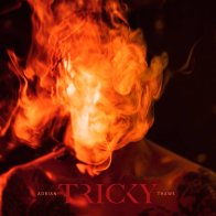 !K7 Tricky - Adrian Thaws (Black Vinyl 2LP)