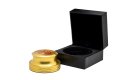 Audio Anatomy Music Protection Stabilizer Gold