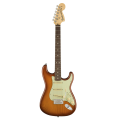 FENDER American Performer Stratocaster®, Rosewood Fingerboard, Honey Burst