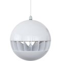 Акустическая система Penton GB20/T