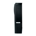 Naim Statement NAP S1 L