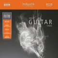 In-Akustik LP Great Guitar Tunes #01675041