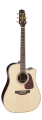 Takamine PRO SERIES 5 P5DC