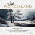 SECOND RECORDS Various Artists - Winter Wonderland: 14 Christmas time Classics (RED MARBLE VINYL)