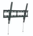 Универсальное наклонное настенное крепление Wize WT55