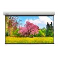 Lumien [LMLC-100118] Master Large Control 462х800 см (раб. область 445х790 см) (344") Matte White