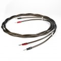Chord Company EpicXL Speaker Cable 2.5m
