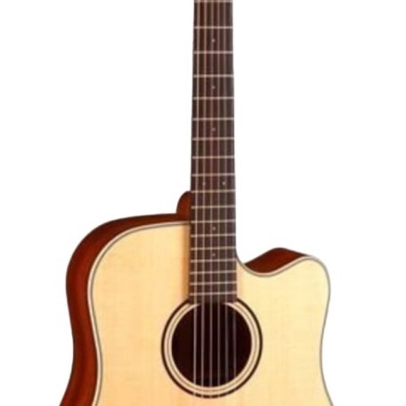 Электроакустическая гитара Parkwood S26-GT (чехол в комплекте)