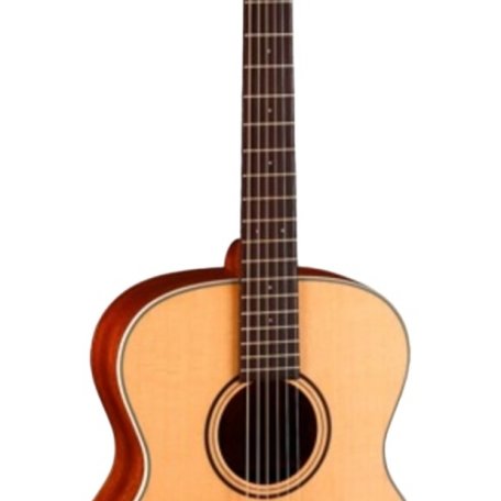 Акустическая гитара Parkwood S22-NS (чехол в комплекте)