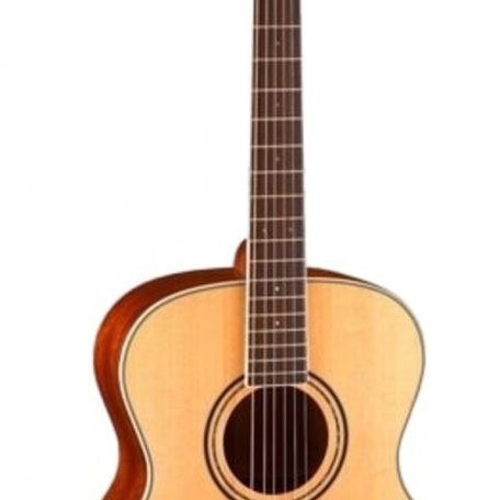 Акустическая гитара Parkwood S62 (чехол в комплекте)