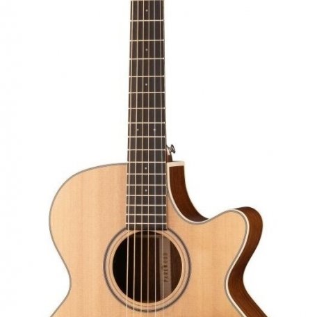 Электроакустическая гитара Parkwood S27-GT (чехол в комплекте)
