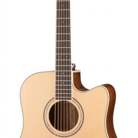 Электроакустическая гитара Parkwood S66 (чехол в комплекте)