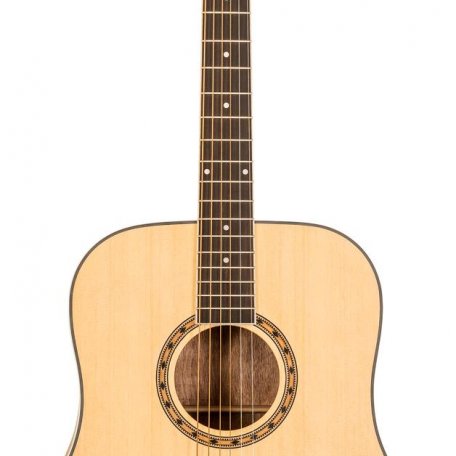 Акустическая гитара Peavey DW-1 w/Bag