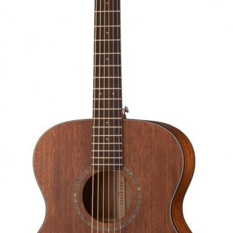 Акустическая гитара Parkwood S22M-NS (чехол в комплекте)