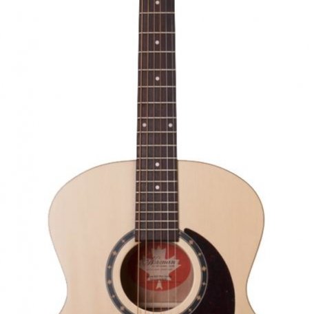 Акустическая гитара Norman 033171 Encore B20 Mini Jumbo