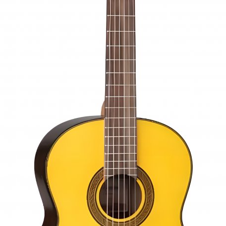 Классическая гитара Takamine GC5 NAT