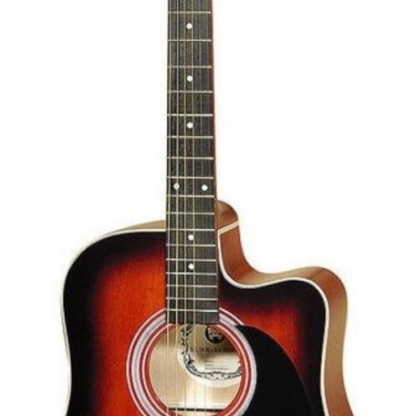 Акустическая гитара Hora W12204CTW Standart Western
