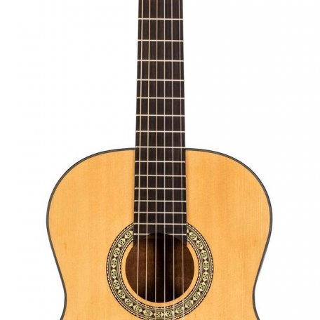 Классическая гитара Peavey CNS-1