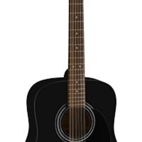 Акустическая гитара Lutner LD001-12-BKS