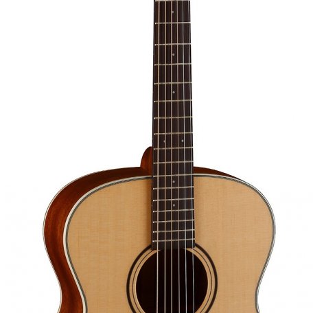 Акустическая гитара Parkwood S22-GT (чехол в комплекте)
