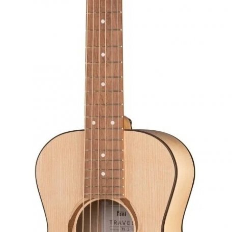 Акустическая гитара Poni TG2-1
