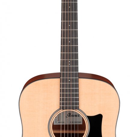 Акустическая гитара Ibanez AAD50-LG