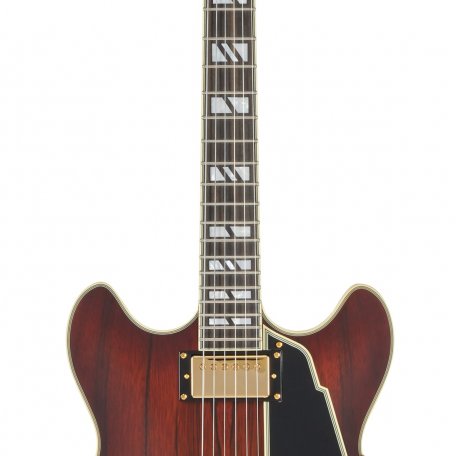 Полуакустическая гитара DAngelico Deluxe DC SBB (кейс в комплекте)