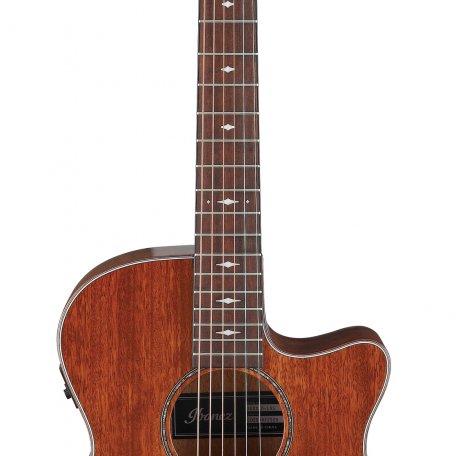 Электроакустическая гитара Ibanez AEG220-LGS