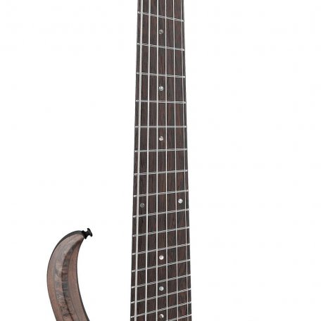 Бас-гитара Ibanez BTB806MS-TGF