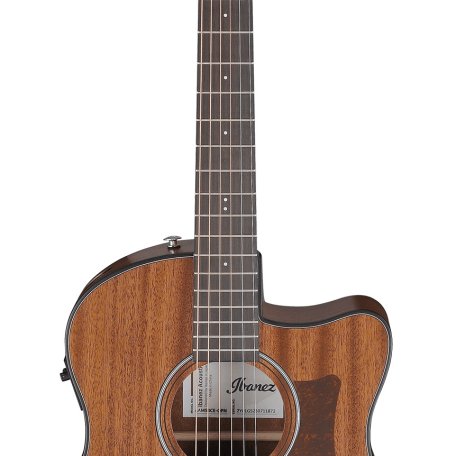 Электроакустическая гитара Ibanez AAM54CE-OPN