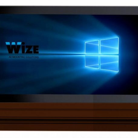 Моторизированный монитор Wize Pro WR-17GT (brown)